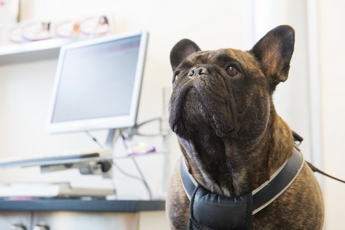 In-House Laboratory  Winnetka, CA 